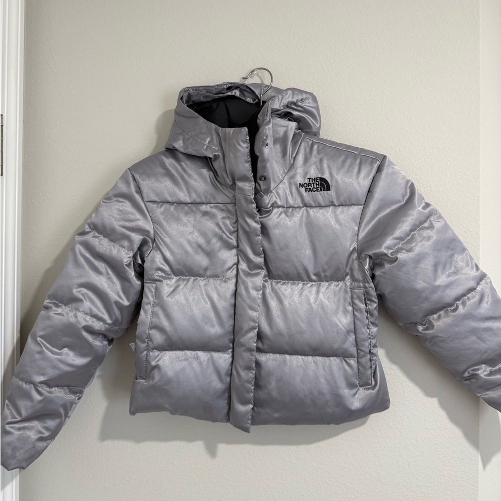 The North Face Silver Puffer Jacket